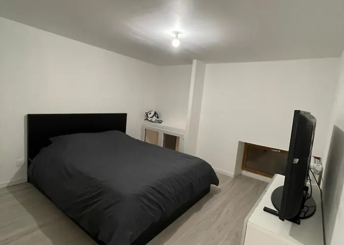 Tres Bel Pres De Montpellier Апартаменты *
